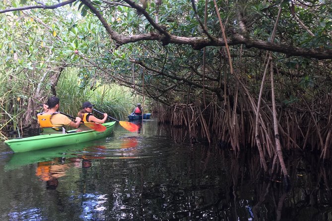 Everglades Kayak Safari Adventure Through Mangrove Tunnels - Who will enjoy this trip most