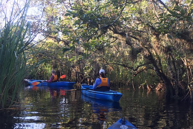 Everglades Kayak Safari Adventure Through Mangrove Tunnels - Should you book the Turner River kayak safari?