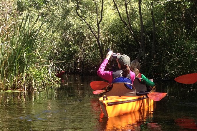 Everglades Kayak Safari Adventure Through Mangrove Tunnels - What the three-hour trip feels like