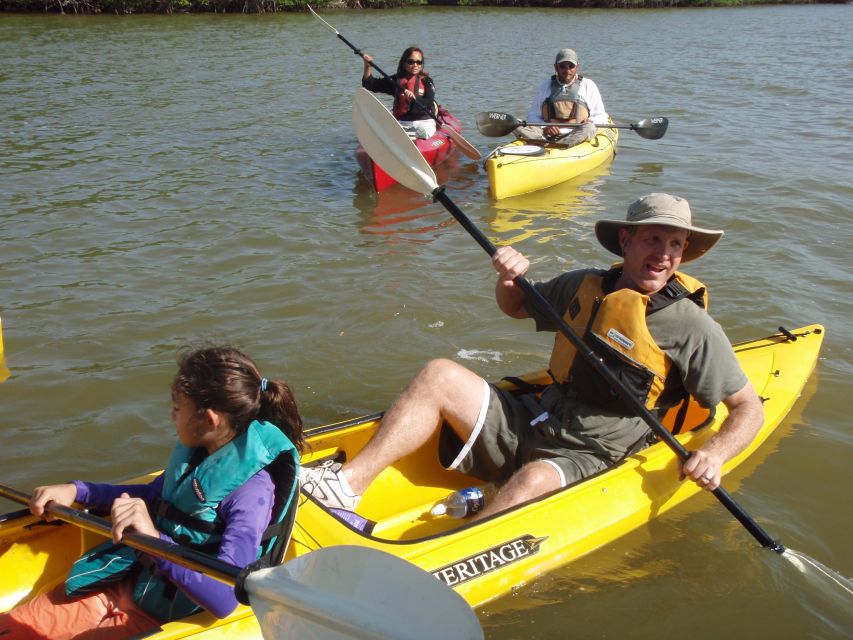 Everglades National Park 3-Hour Kayak Eco Tour - Meeting at Parkway Motel & Marina