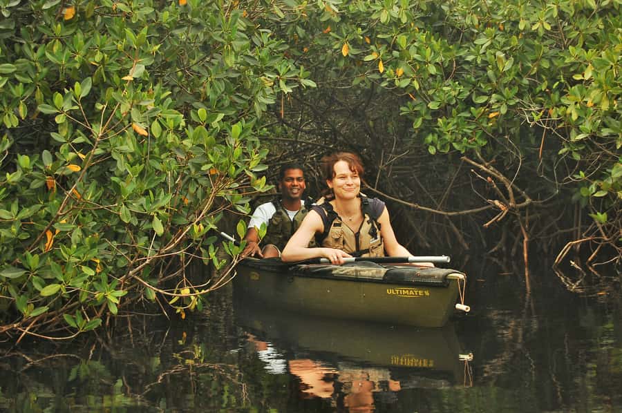 Everglades National Park: Mangrove Tunnel Kayak Eco-Tour - Key points at a glance