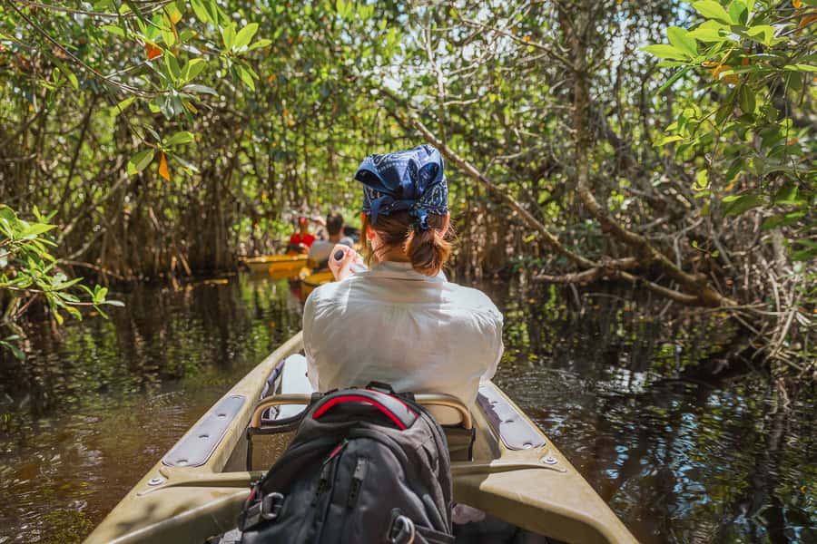 Everglades National Park: Mangrove Tunnel Kayak Eco-Tour - Why this kayak route feels special