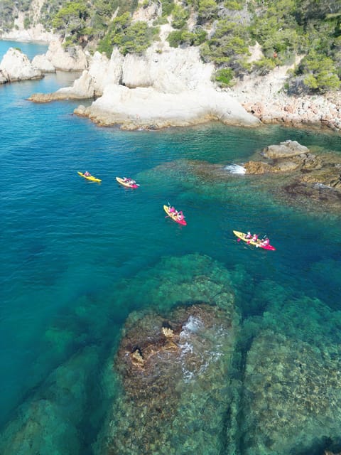 EXCURSION GUIADA EN KAYAK - INICIACIÓN 1h 15m - Learning the basics before launch