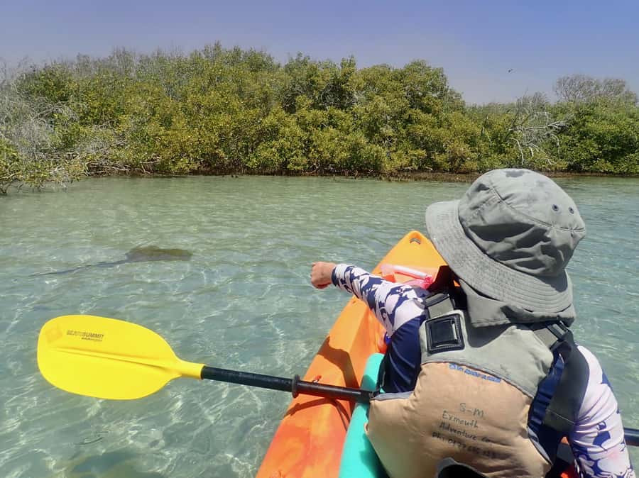 Exmouth: Half Day Turtle Kayak & Snorkel Tour - Pickup in Exmouth and the short ride to the coast