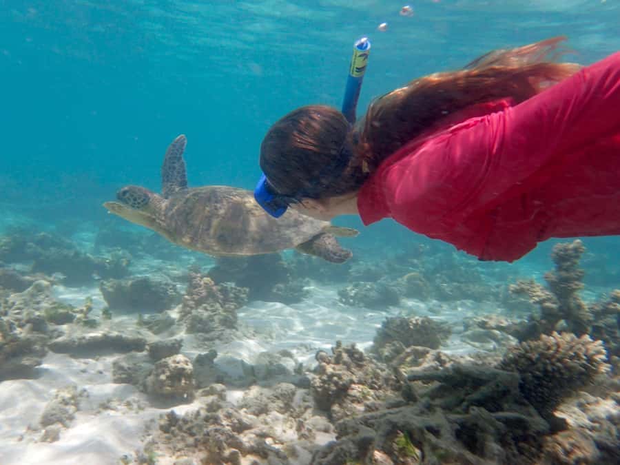 Exmouth: Lagoon Explorer - Full day kayak & Snorkel tour - The final paddle and return to Exmouth