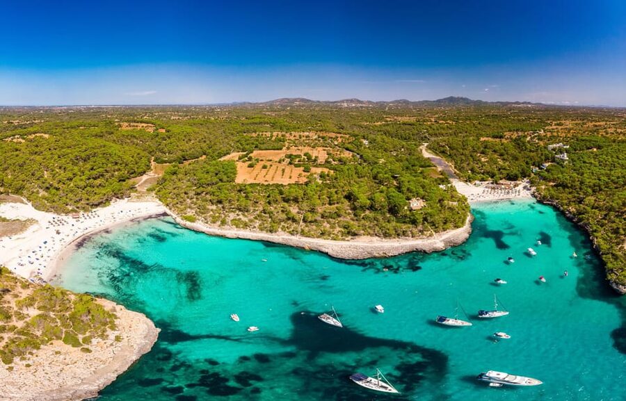 Experinence in Mondrago /S'amarador / Trencada Snorkel y SUP - Why Mondragó makes a strong beach day