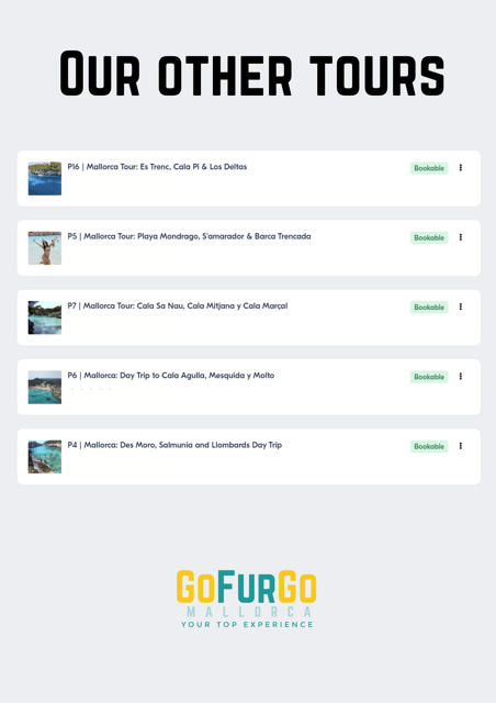 Experinence in Mondrago /S'amarador / Trencada Snorkel y SUP - Who should book this day?