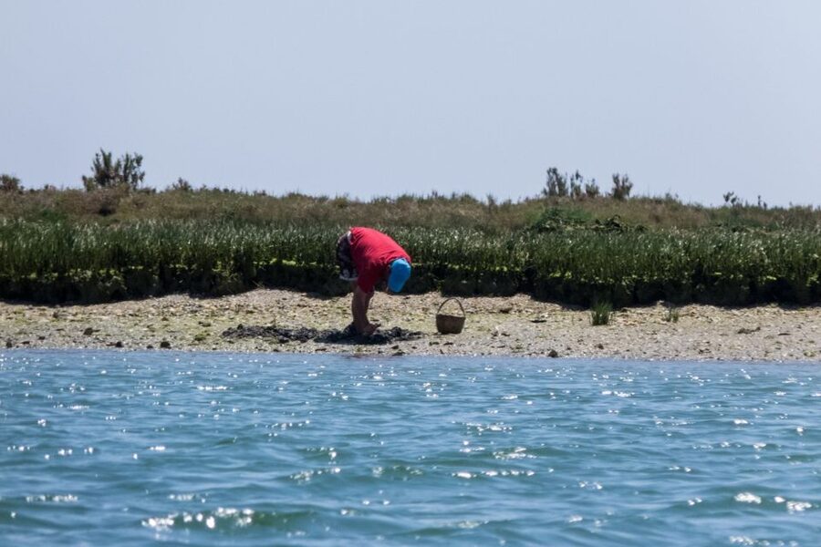 Faro: Kayak Hire in Ria Formosa Natural Park - Starting at Faro Marina