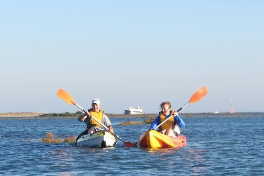 Faro: Kayak Hire in Ria Formosa Natural Park - Why the four-hour option may be worth it