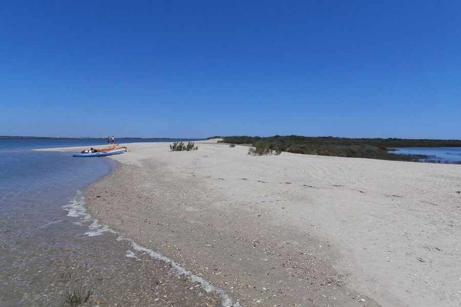 Faro: Kayak Hire in Ria Formosa Natural Park - Safety, comfort, and what to pack