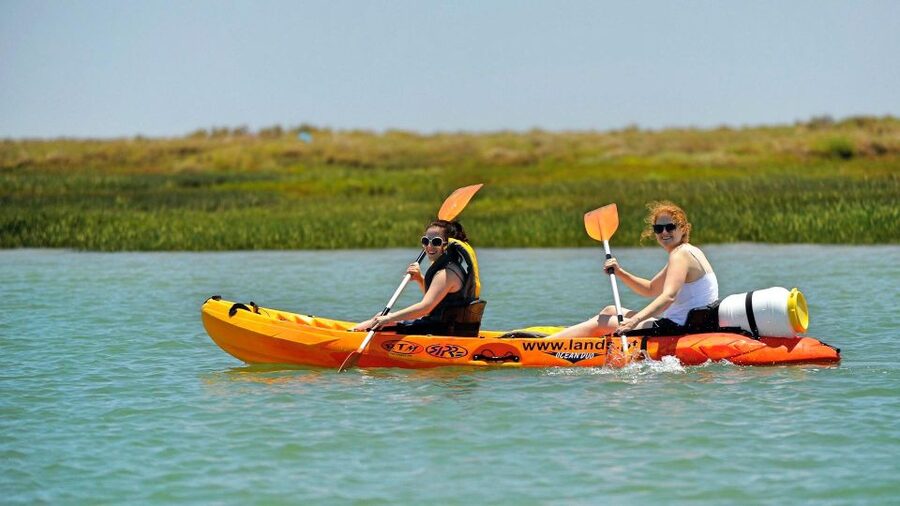 Faro: Kayak Hire in Ria Formosa Natural Park - Price and overall value