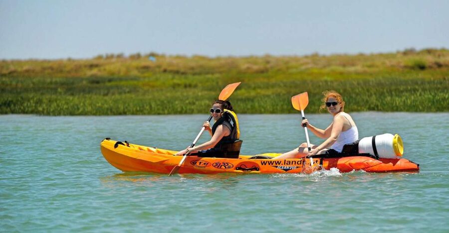 Faro: Kayak Hire in Ria Formosa Natural Park - Who should book this kayak hire?