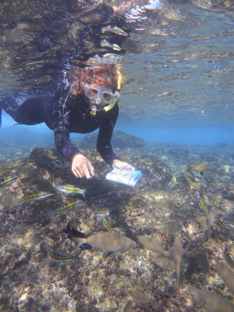 Flamingo Beach: Guided SUP and Snorkeling experience - Snorkeling with fish names and useful explanations