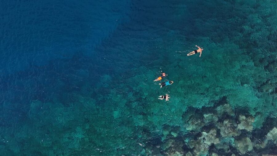 Flamingo Beach: Guided SUP and Snorkeling experience - What makes Flamingo Beach worth seeing from the water