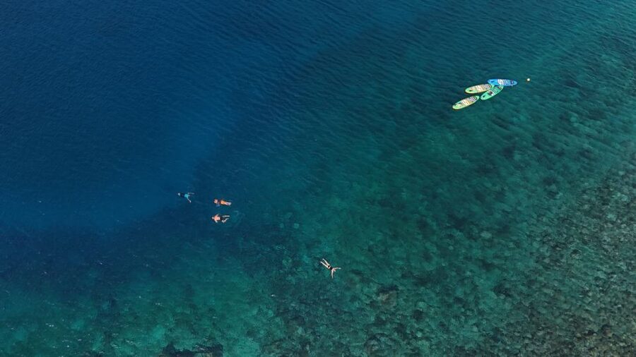 Flamingo Beach: Guided SUP and Snorkeling experience - Final verdict: a friendly introduction with real value