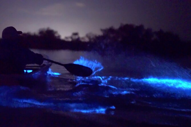 Florida Bioluminescence Clear Kayak tour/ Beacon 42 (Titusville) - Key things to know before you book