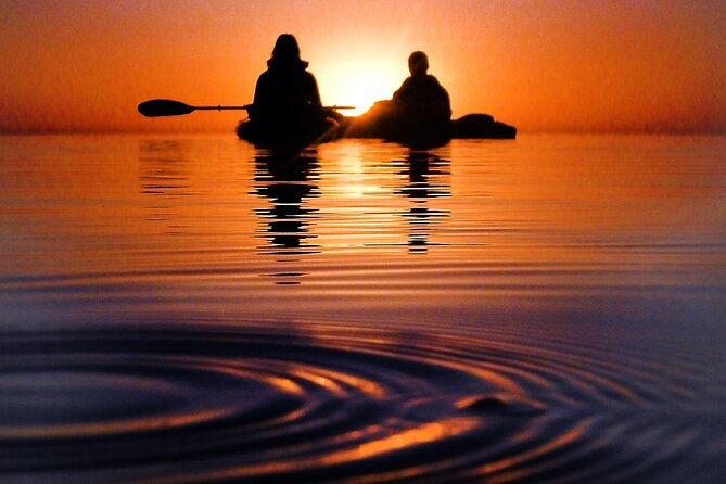 Florida Bioluminescence Clear Kayak tour/ Beacon 42 (Titusville) - Bugs, rain, and the realities of Florida after dark