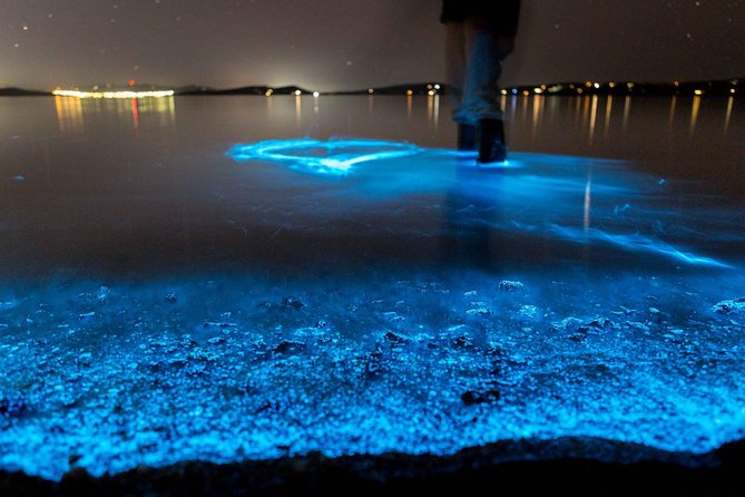 Florida Bioluminescence Kayaking Tour (Titusville) - Key points to know before you book