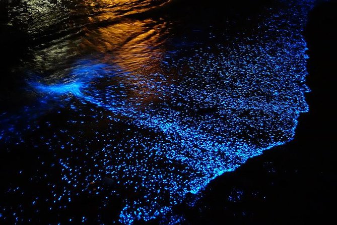 Florida Bioluminescence Kayaking Tour (Titusville) - Starting at Haulover Canal in Titusville