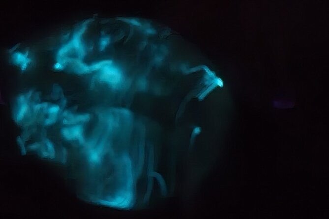Florida Bioluminescence Kayaking Tour (Titusville) - Searching for blue trails on the Indian River Lagoon