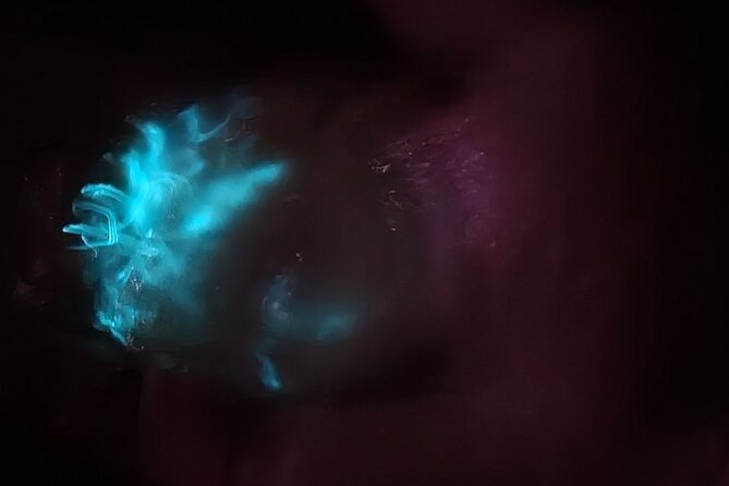 Florida Bioluminescence Kayaking Tour (Titusville) - When the bioluminescence is strongest