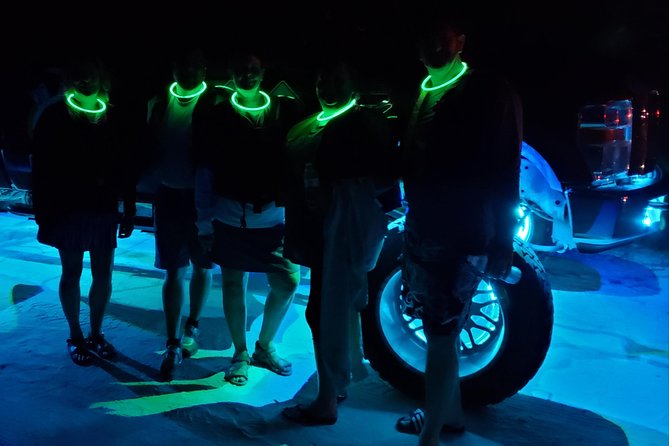 Florida Bioluminescence Kayaking Tour (Titusville) - Choosing a single or tandem kayak