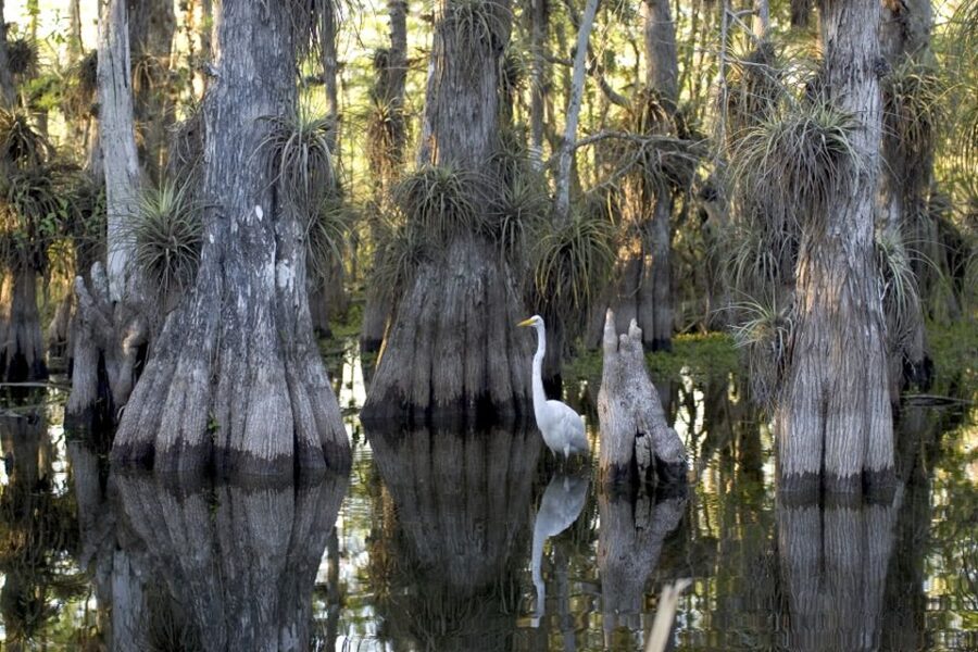Florida Keys: Key West Kayak Eco Tour with Nature Guide - Key details before you book