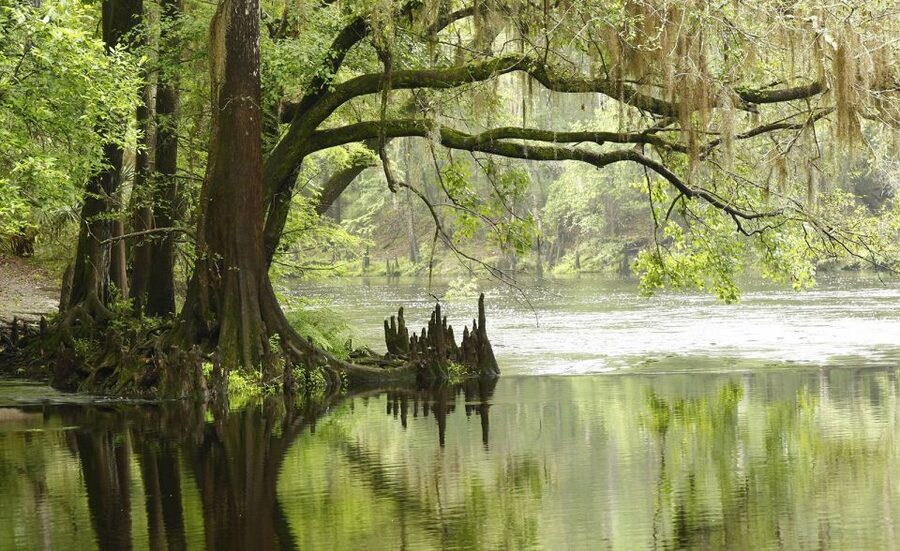Florida Keys: Key West Kayak Eco Tour with Nature Guide - How the $103 price holds up