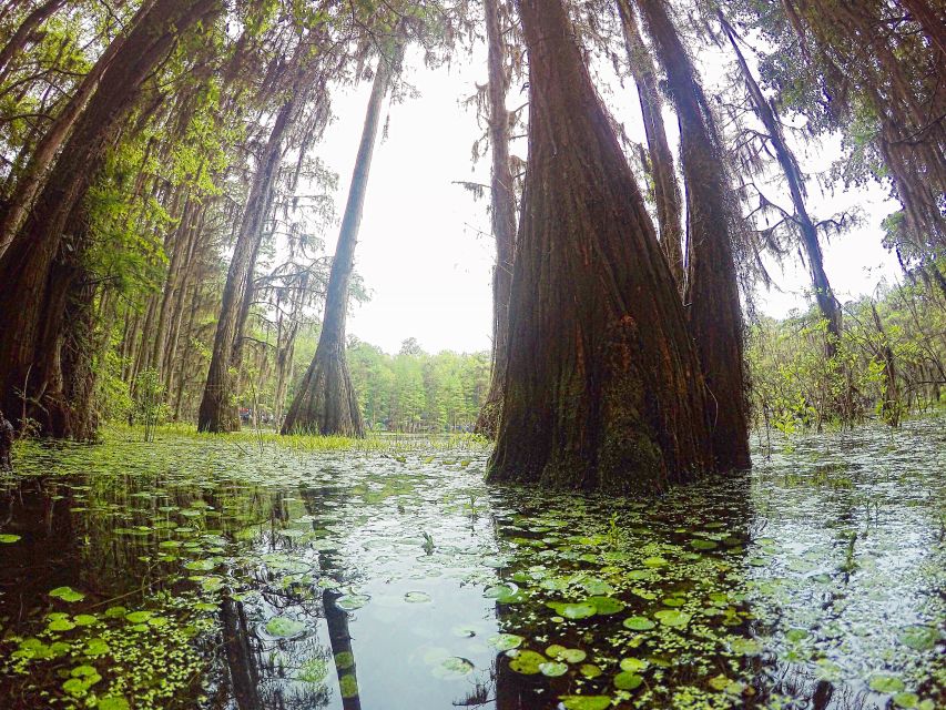Florida Keys: Key West Kayak Eco Tour with Nature Guide - Who will enjoy this two-hour outing