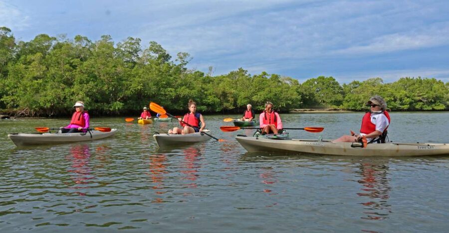 Florida Keys: Key West Kayak Eco Tour with Nature Guide - Paddling into the Florida Keys mangroves