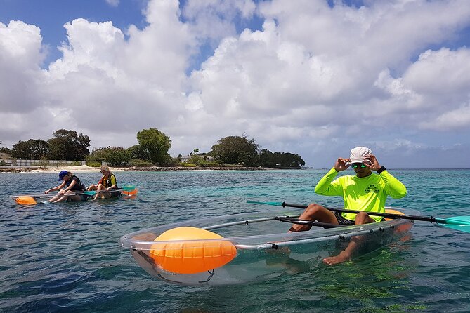 Folkestone Coral Reef Clear Kayak Tour - The guide can make or break the hour