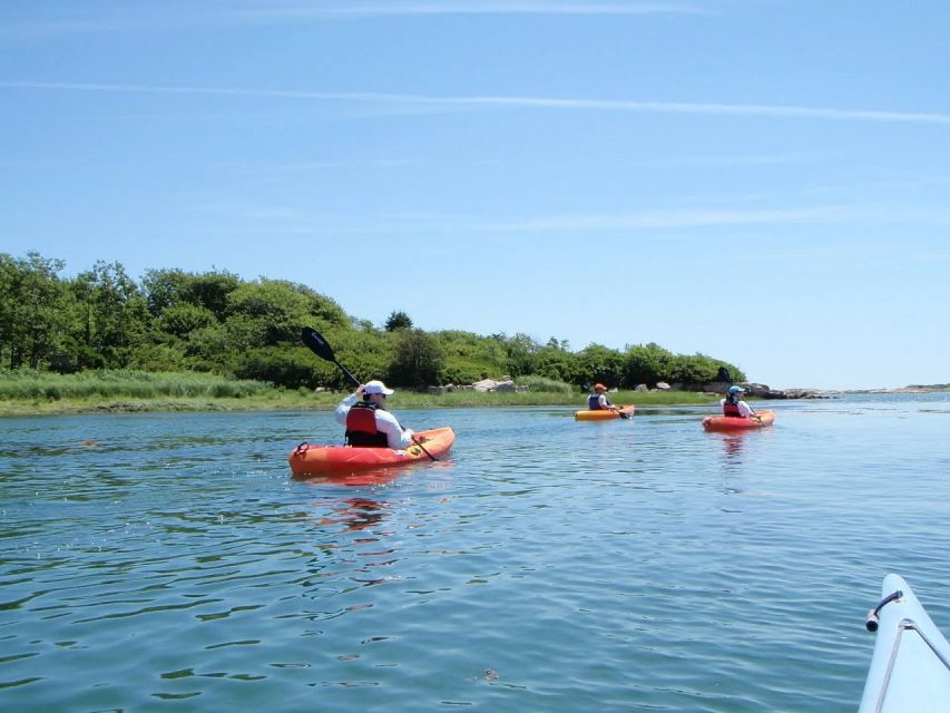 Fort Myers: Guided Kayak or SUP Tour in Pelican Bay - A gentle introduction to Pelican Bay paddling