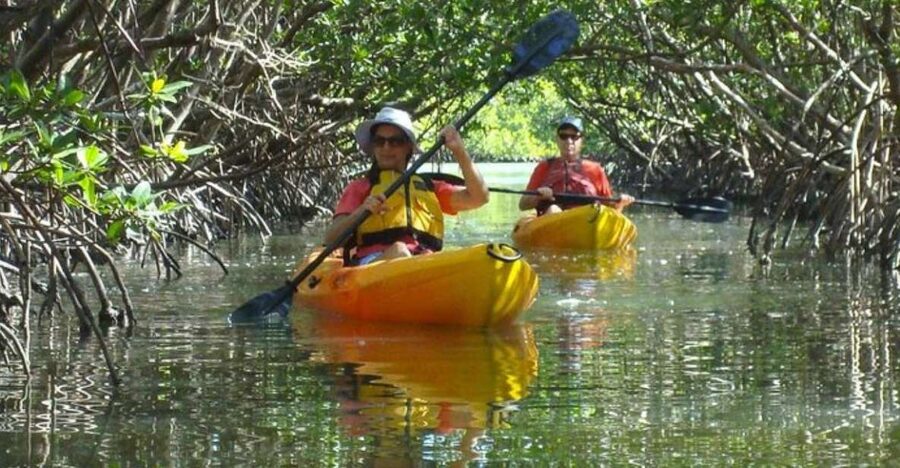 Fort Myers: Guided Kayak or SUP Tour in Pelican Bay - What the one-hour route feels like