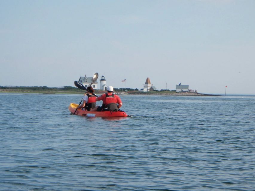 Fort Myers: Guided Kayak or SUP Tour in Pelican Bay - Wildlife watching without false promises