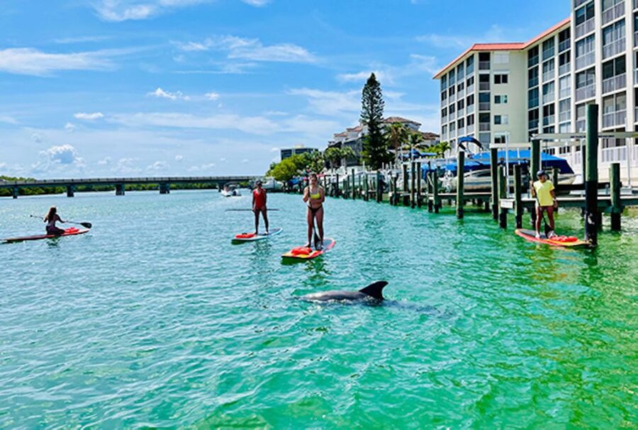 Fort Myers: Guided Standup Paddleboarding or Kayaking Tour - The guide can make or break the experience