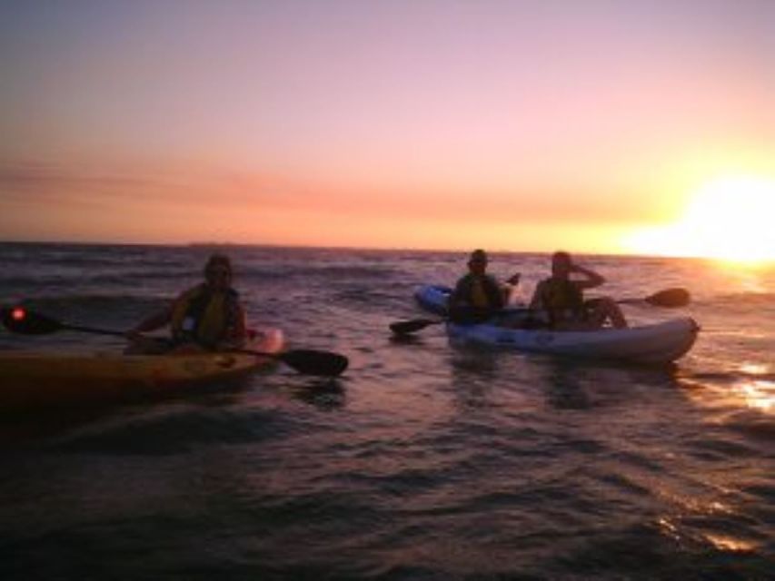 Fort Myers: Guided Sunset Kayaking Tour through Pelican Bay - Launching into the shallow bays