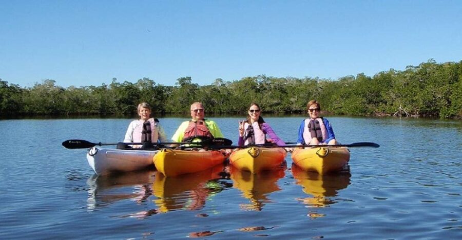 Fort Myers: Guided Sunset Kayaking Tour through Pelican Bay - Mangrove tunnels and small wildlife