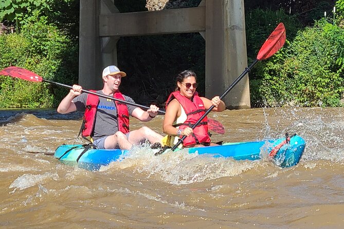 French Broad River Kayak Tour in Asheville - Paddling the French Broad for about 1.5 hours