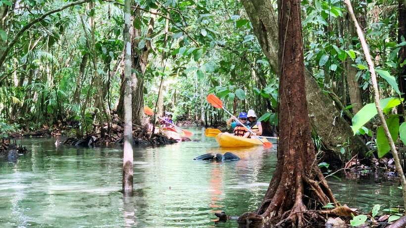 From Ao Nang: Kayaking at Klong Rud with Hotel Transfers - Leaving Ao Nang for Nong Thale