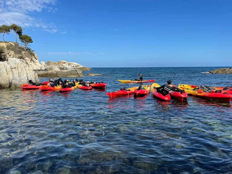 From Barcelona: Costa Brava Kayak & Snorkel Tour with Picnic - What the guides add to the day