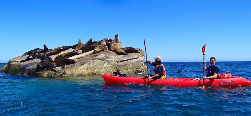 From Cabo: Cabo Pulmo Marine Park Snorkeling and Kayaking - Key things to know before booking