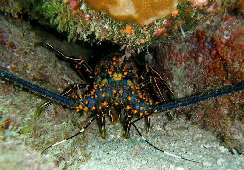 From Cabo: Cabo Pulmo Marine Park Snorkeling and Kayaking - Is the $230 price fair?