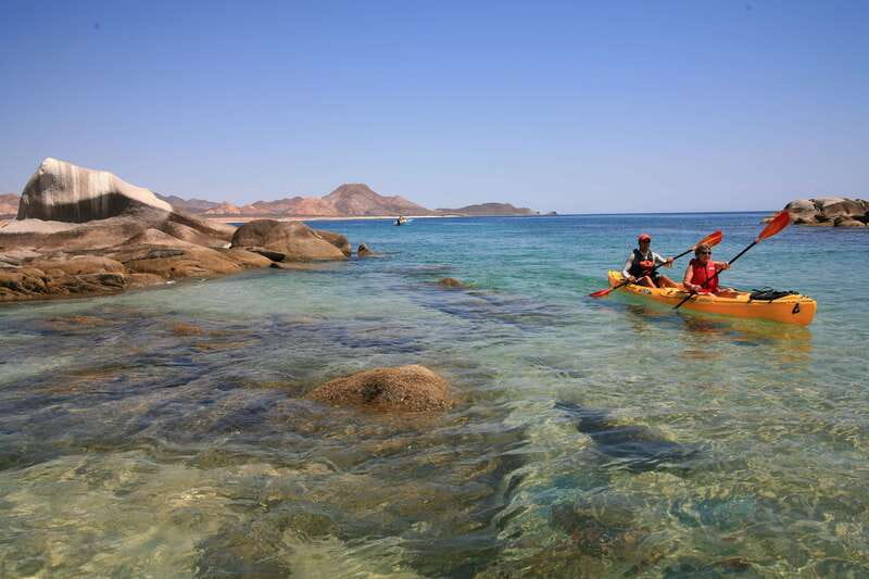 From Cabo: Cabo Pulmo Marine Park Snorkeling and Kayaking - Who should book this Cabo Pulmo outing?