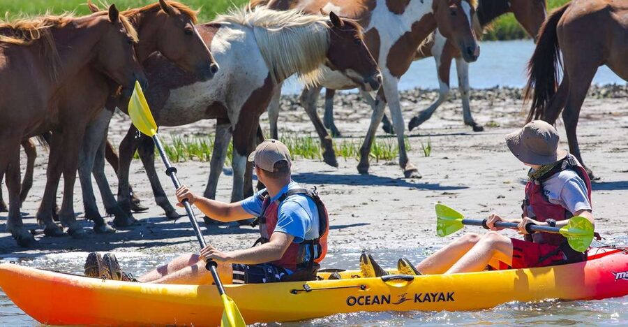 From Chincoteague: Guided Kayak Tour to Assateague Island - Getting comfortable in the kayak