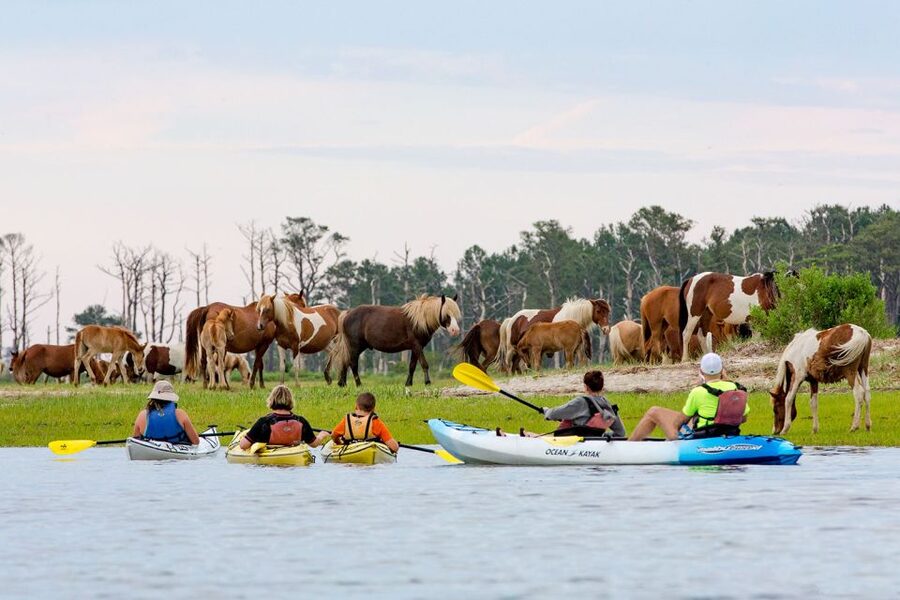 From Chincoteague: Guided Kayak Tour to Assateague Island - Fitness, comfort, and practical limits