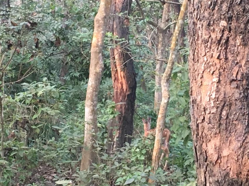 From Chitwan : Jeep Safari,Canoeing,Forest walk Day Tour - Who will enjoy this tour most?