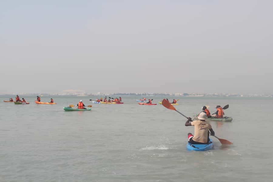 From Doha: Mangroves Kayaking Adventure - Through the mangroves: the best part of the outing