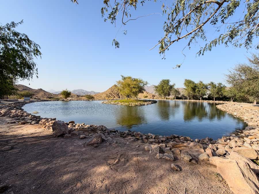 From Dubai: Hatta Sightseeing Tour with kayaking - How the timing affects the day