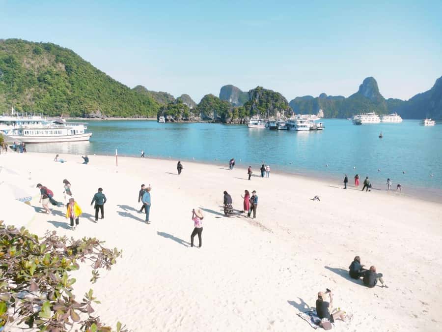 From Hanoi: Ha Long Bay Luxury Day Cruise with Food & Kayak - Sunset tea and a final hour on the sundeck