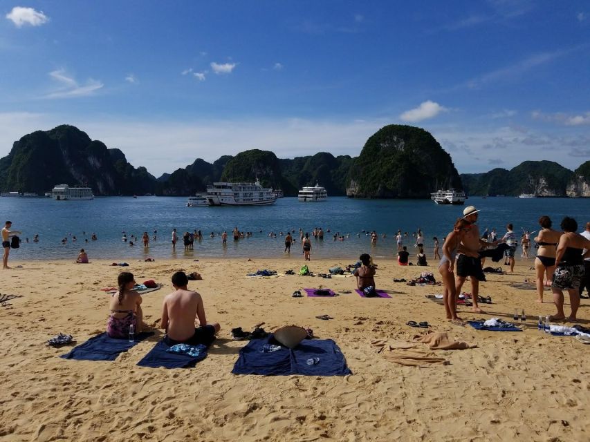 From Hanoi: Halong Bay Day Trip w/ Cave, Island & Kayak - Guides, Organization, and the Human Side